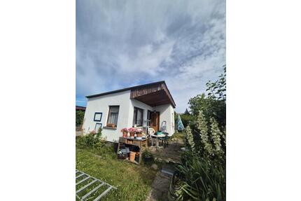 Kleiner Garten optimal genutzt ☘️ - Prohn