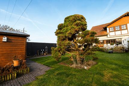 Haus zum Kaufen in Babenhausen 498.000,00 € 120 m²