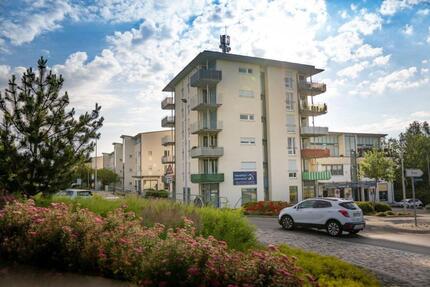 große 1 Raum Wohnung mit EBK - 280,00&nbsp;EUR Kaltmiete, ca.&nbsp; 40,00&nbsp;m&sup2; in Zwickau (PLZ: 08060) Zwickau-West