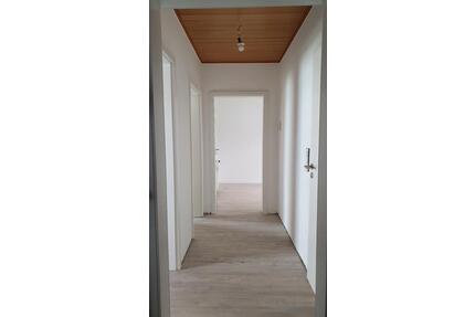 Schöne 2ZKB Wohnung im Hochparterre, frisch renoviert - Bingen am Rhein