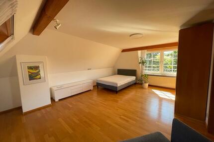 Dachgeschoss Wohnung LahrBurgheim - Lahr (Schwarzwald)