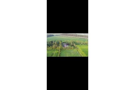 Haus zu vermieten 5 Zimmer Alleinlage - Langenhorn