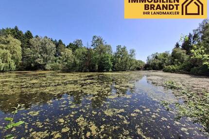 Freizeitgrundstück mit großem Fischteich in ruhiger Naturlage - Harsefeld Issendorf