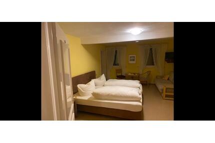 1 Zimmer Apartment - 530,00&nbsp;EUR Kaltmiete, ca.&nbsp; 100,00&nbsp;m&sup2;&nbsp;Wohnfl&auml;che in Weikersheim (PLZ: 97990)