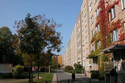 Wohnung zum Mieten in Dresden 328,00 € 47.43 m²