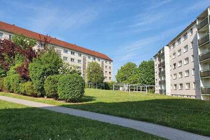 Wohnung zum Mieten in Lichtentanne 170,00 € 31.37 m²