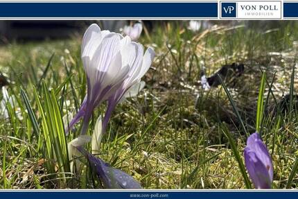 Bester Grund zum Bauen: Schönes Grundstück wartet auf Sie und Ihre Ideen! - Berlin-Pankow Buch