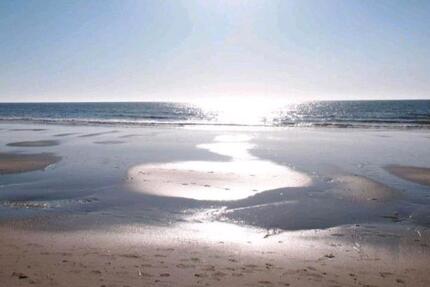 Ruhige 3 Zimmer EG-Wohnung - 800,00&nbsp;EUR Kaltmiete, ca.&nbsp; 100,00&nbsp;m&sup2; in Norden (PLZ: 26506)