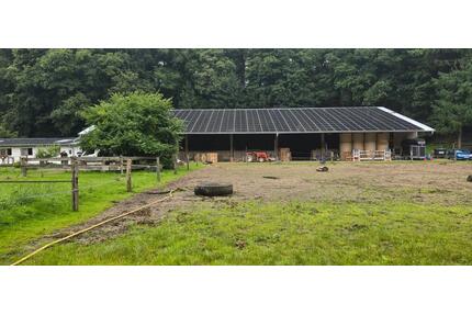 Verpachte Reitanlage - 1.700,00&nbsp;EUR Kaltmiete, ca.&nbsp; 0,00&nbsp;m&sup2; in Burg (Dithmarschen) (PLZ: 25712)