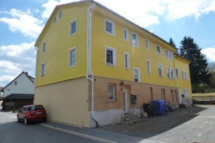 Helle, renovierte Wohnung mit Einbauküche! - Clausthal-Zellerfeld