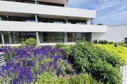 Wohnung zum Kaufen in Hofheim am Taunus 415.000,00 € 70.13 m²