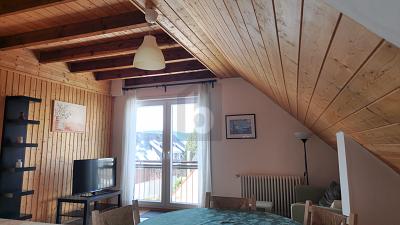 FLEXIBLE RAUMKONZEPTE FÜR JEDEN BEDARF - Feldberg