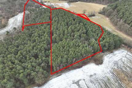 Grundstück zu verkaufen in Altdöbern Ranzow 45.000,00 € 38000 m² - Altdöbern / Ranzow