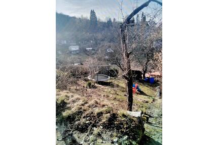 Kleingarten Garten - 197,00&nbsp;EUR Kaltmiete, ca.&nbsp; 0,00&nbsp;m&sup2; in Suhl (PLZ: 98529) Aue 1