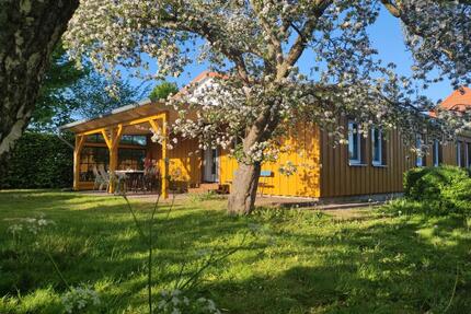 Ostsee Urlaub Darß Zingst Ferienhaus Nähe Barth bis 4 od. 6 Pers.