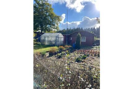 Kleingarten Nähe Bad Segeberg in ruhiger Lage abzugeben - Wahlstedt