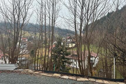 Barrierefreie 1-Zi. Mietwohnung in idyllischer Lage bei Bayreuth - Warmensteinach