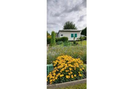 Kleingarten auf Pachtland - 3.000,00&nbsp;EUR Kaltmiete, ca.&nbsp; 0,00&nbsp;m&sup2; in Rostock (PLZ: 18106) Evershagen