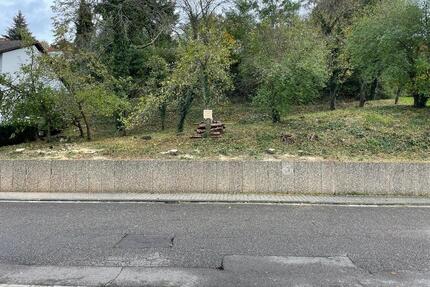 Schönes Grundstück in Lemberg zu verkaufen
