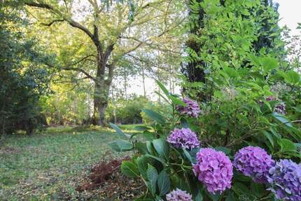 Grundstück in Velgast - Idyllische Lage mit Obstbäumen