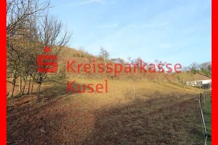 Grundstück zu verkaufen in Ulmet 94.000,00 € 3811 m²