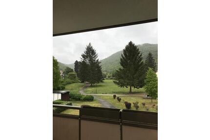 Hier wohnt es sich super! - 375,00&nbsp;EUR Kaltmiete, ca.&nbsp; 48,56&nbsp;m&sup2; in Harztor (PLZ: 99768)