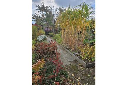 Kleingarten 220 qm Bautzen Nähe Taucherfriedhof