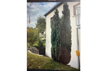 3 Zimmer Wohnung in Greifenstein - Pohlheim