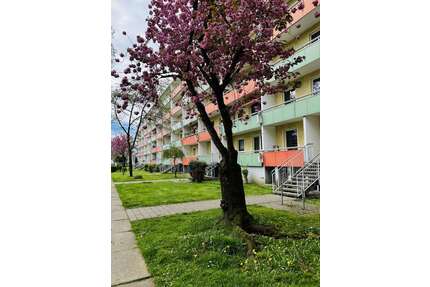 Wohnung zum Mieten in Magdeburg 428,22 € 70.2 m²