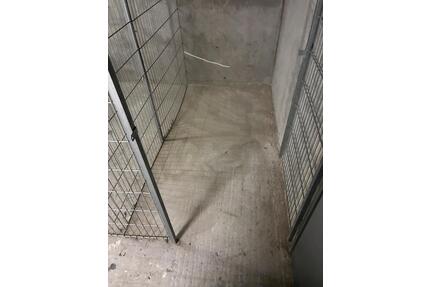 Keller Kellerabteil Abstellraum Martinsviertel Riegerplatz - Darmstadt Bessungen