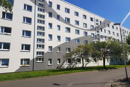 Wohnung zum Mieten in Greifswald 187,90 € 19 m²