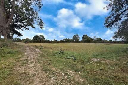 Grundstück in Neustadt 57.000,00 € 8524 m²