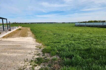 bieten Baugrundstück in ländlicher Gegend sofort verfügbar - Königsmoos
