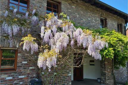!! Das Haus für die große Familie - Stolberg (Rheinland) Büsbach