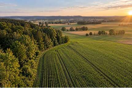 Grundstück in Bruck 60.000,00 € 6441 m²