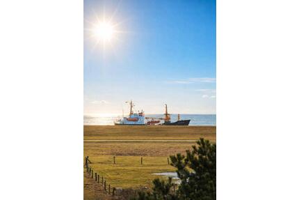 Den Meerblick und die Natur aus 1. Reihe - Norderney