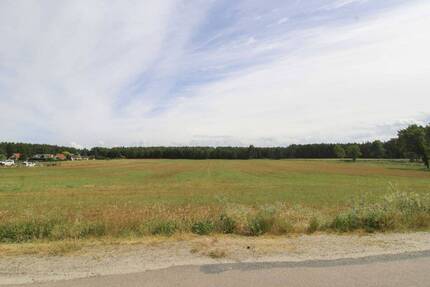 Verpachtete landwirtschaftliche Fläche - Acker und Wald - Kemberg Rotta