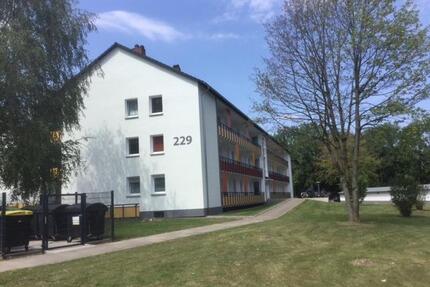 Nimm mich! Ansprechende 2,5-Zimmer-Wohnung - Bielefeld Stieghorst