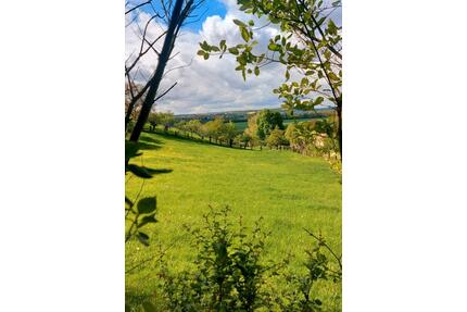 schöne 2-Raum-Wohnung in der Natur - Naumburg (Saale)