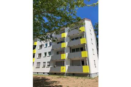 Wohnung zum Mieten in Eddersheim 800,00 € 65.92 m²