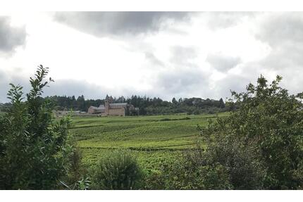 2 Zimmerwohnung Rüdesheim - 970,00&nbsp;EUR Kaltmiete, ca.&nbsp; 80,00&nbsp;m&sup2; in Geisenheim (PLZ: 65366)