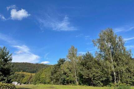 Heute Wildwuchs, morgen Gemüsegarten, übermorgen ... Bauland? - Dresden Hosterwitz/Pillnitz
