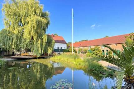 Haus zum Kaufen in Rheinsberg 1.980.000,00 € 430 m²