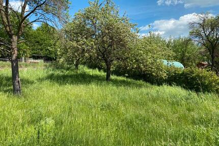 Freizeit Grundstück Lütersheim Volkmarsen