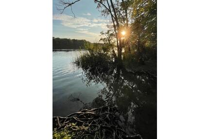 Haus zu vermieten, großer Garten, See und Wald ganz nah - Schwerin Friedrichsthal