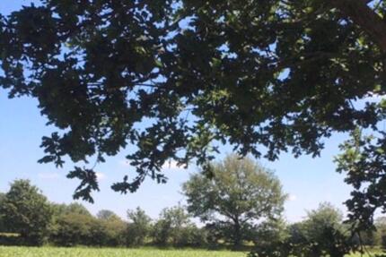 Modernes Wohnen in einer ruhigen und idyllischen Feldrandlage. - Großenwiehe