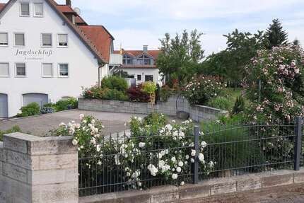 Wohnung zum Mieten in Nordenberg 300,00 € 30 m²