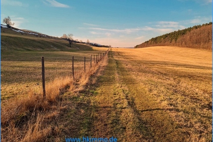1 ha Ackerland zwischen Wernigerode und Darlingerode