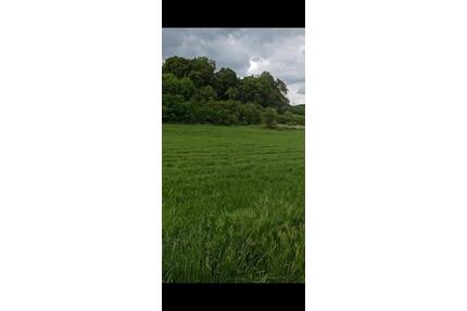 Grundstück - 65,00&nbsp;EUR Kaltmiete, ca.&nbsp; 0,00&nbsp;m&sup2; in Edertal (PLZ: 34549)