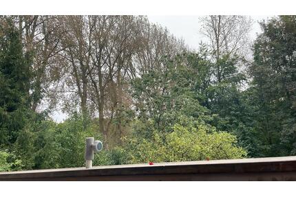 Schöne Altbauwohnung mit Gemeinschaftsgarten - Molfsee